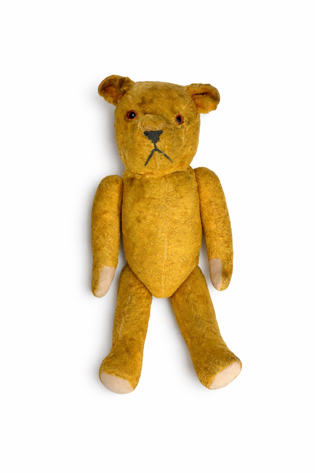 Teddy Bear by Schucco