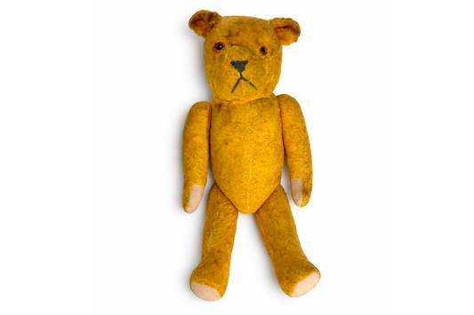 Teddy Bear by Schucco