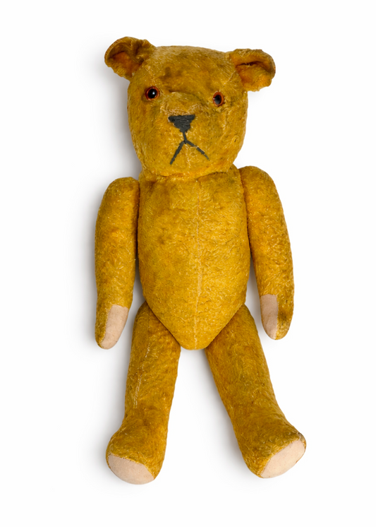 Teddy Bear by Schucco